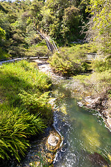 Image showing volcanic activities at waimangu