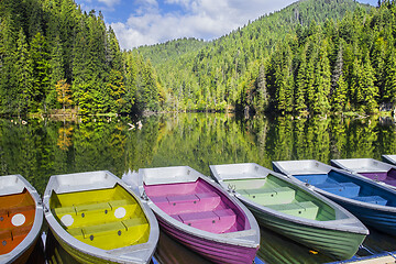Image showing Colorful boats docked on a forest lake