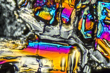 Image showing Ammonium sulfate microcrystals