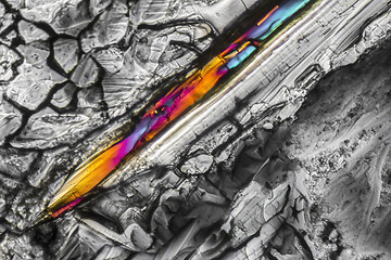 Image showing Ammonium sulfate microcrystals