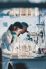 Image showing Health care researchers working in scientific laboratory.