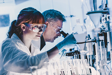 Image showing Health care researchers working in scientific laboratory.