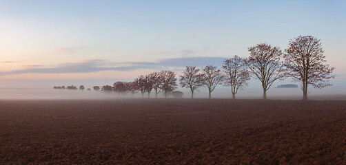 Image showing Landscape covered with fog in Central Bohemian Uplands, 