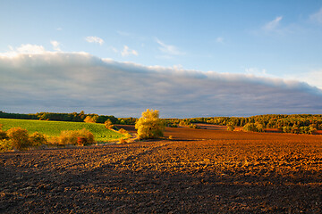 Image showing On the empty field after harvesting in summer evening. 