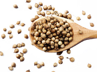 Image showing Coriander Seeds in Wooden Spoon