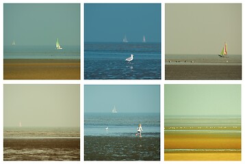 Image showing Collection of Seashore Views. Knokke-Heist, Belgium