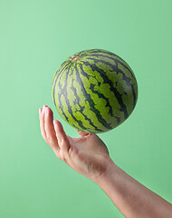 Image showing watermelon and human hand