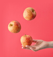 Image showing fresh apple in human hand