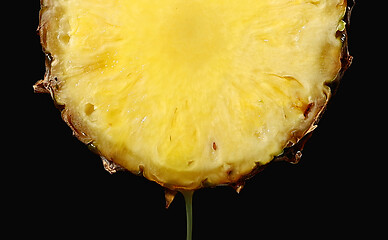 Image showing juicy pineapple slice