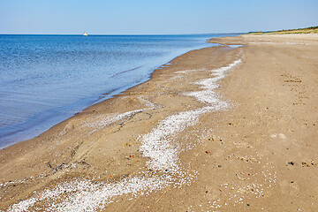 Image showing baltic sea coast