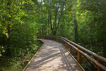 Image showing wooden nature trail 