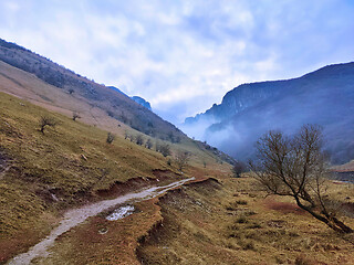 Image showing Turzii gorges in a foggy day