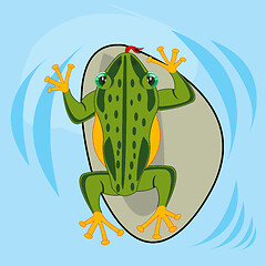Image showing Reptile amphibious frog in water type overhand
