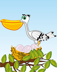 Image showing Bird pelican on jack with egg on tree