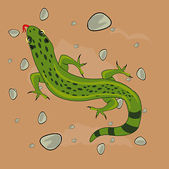 Image showing Reptile animal lizard in desert type overhand
