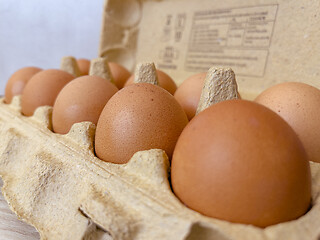 Image showing Eggs in a box