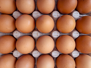 Image showing Eggs in a box