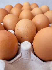 Image showing Eggs in a box