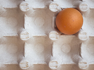 Image showing Eggs in a box