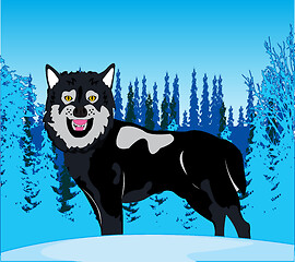 Image showing Wildlife wolf on background snow winter wood