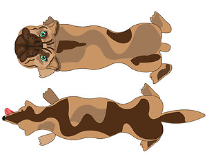 Image showing Vector illustration home animal dog type overhand