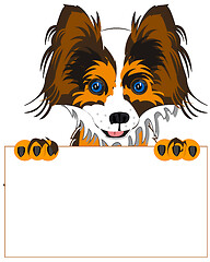 Image showing Dog of the sort pekingese with advertising clean sheet in paw