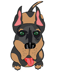 Image showing Dog of the sort doberman types overhand