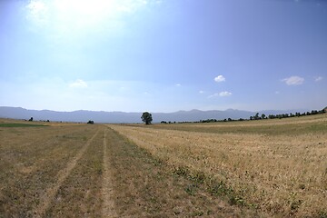 Image showing summer landscape