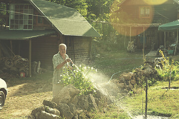 Image showing gardener watering the plants