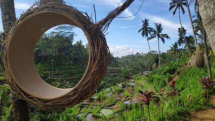 Image showing Tegalalang rice terraces in Ubud, Bali