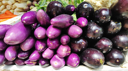 Image showing Raw ripe eggplant display at vegetable stall 