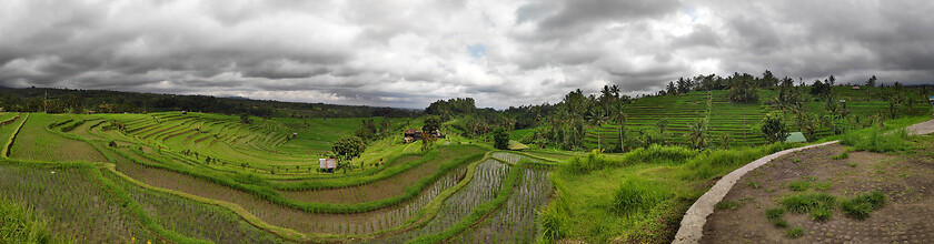 Image showing Jatiluwih rice terraces in Tabanan, Bali, Indonesia.