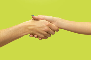 Image showing Closeup shot of human holding hands isolated on green studio background.