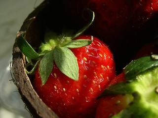 Image showing strawberry