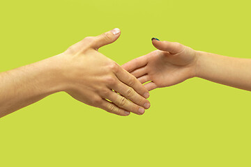 Image showing Closeup shot of human holding hands isolated on green studio background.