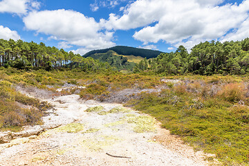 Image showing geothermal activity at Rotorua in New Zealand