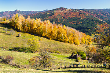 Image showing Autumn scene on the hill