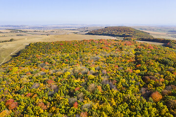 Image showing Autumn forest in a rural landscape