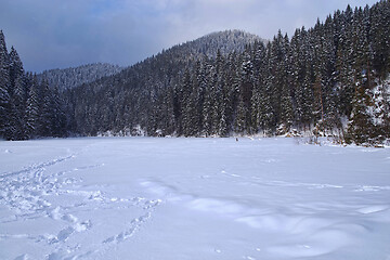 Image showing Frozen lake, snow covered in the forest