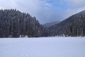 Image showing Winter landscape of frozen lake in the forest