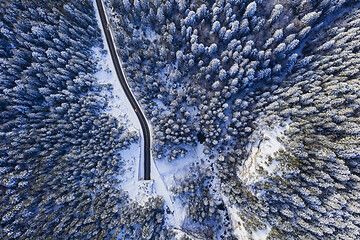 Image showing Winter forest, tunnel entrance from above