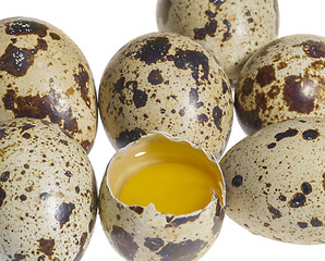 Image showing some quail eggs