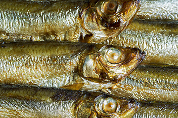 Image showing smoked sprats detail