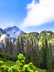 Image showing Polish Tatra mountains summer landscape with blue sky and white clouds.