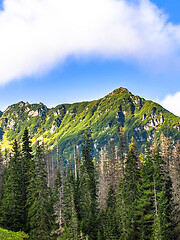 Image showing Polish Tatra mountains summer landscape with blue sky and white clouds.