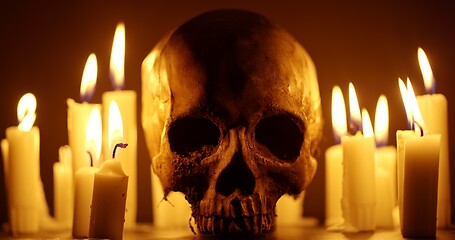 Image showing Candles and human skull in darkness closeup footage