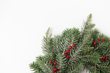 Image showing christmas wreath of fir branches with red berries