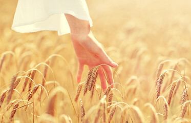 Image showing close up of woman hand in cereal field