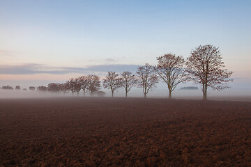 Image showing Landscape covered with fog in Central Bohemian Uplands, Czech Re