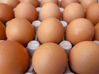 Image showing Eggs in a box